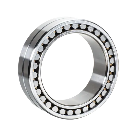 SGW Double Row Cylindrical Roller Bearings