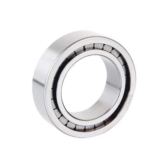 SGW Single Row Full Complement Cylindrical Roller Bearings